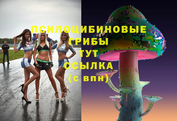 СК Ступино