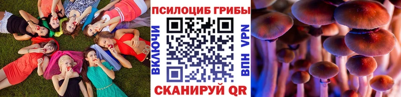 Галлюциногенные грибы ЛСД  дарк нет какой сайт  Городовиковск 